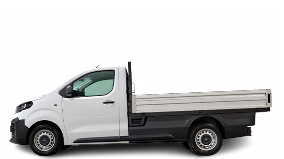 Vivaro Kamyonet